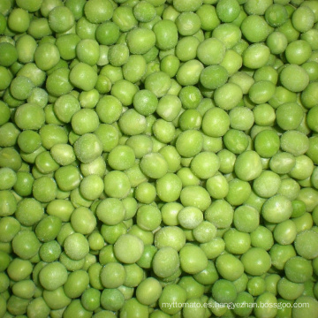 Marcas de guisantes congelados variedad A grado típico paquete a granel verde